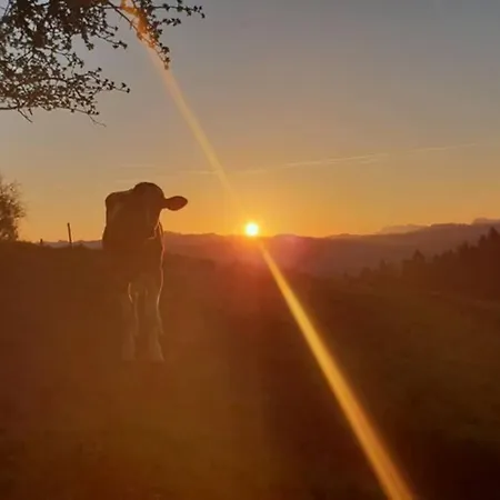 Eggelried, Wo Zu Hause Ist.. Appartement *