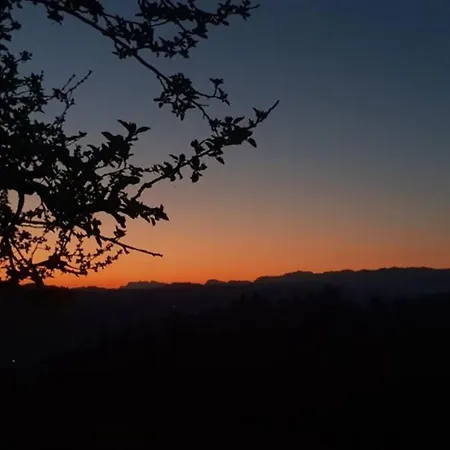 Eggelried, Wo Zu Hause Ist..